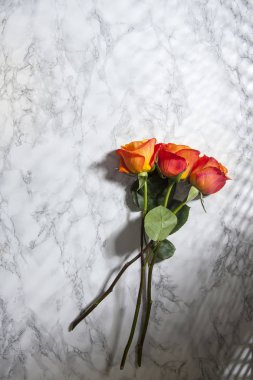 Mermer arka planda üç renkli turuncu gül, çiçekler ve aşk, sevgililer günü konsepti