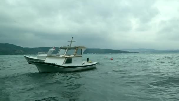 Kleines Boot Schwimmt Auf Dem Wasser — Stockvideo