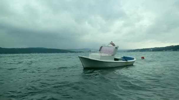 Pequeño Barco Flotando Agua — Vídeo de stock