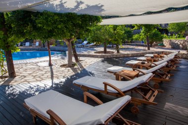 Yüzme havuzu ve ağaçları olan güzel bir manzara. Havuz kenarında güneşlik..