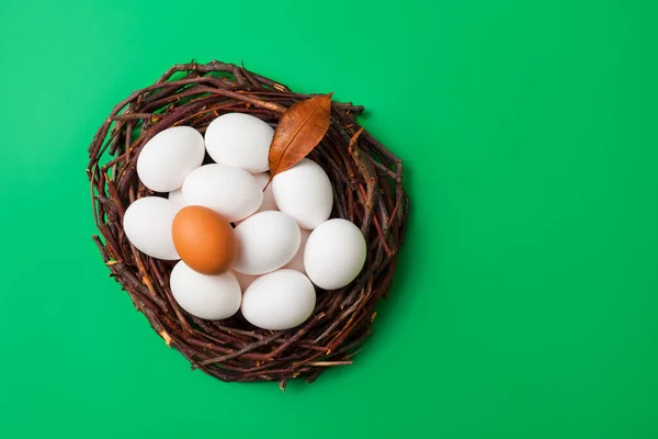 Φωλιά Πουλιών Αυγά Απομονωμένα Πράσινο Φόντο Κουτί Πάνω Όψη Για — Φωτογραφία Αρχείου