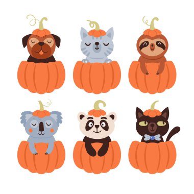 Cadılar Bayramı 'nda balkabağı takımındaki sevimli hayvanlar. Kartlar, çıkartmalar, giyim kuşamları ve çocuk odası dekorasyonu için çocukça bir baskı. Vektör İllüstrasyonu