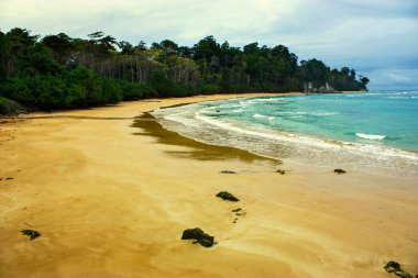 colorful beach with cloudy sky and lush forest at Radhanagar beach of Havelock Island, Andaman and Nicobar Islands clipart