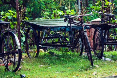 Havelock Adası, Andaman ve Nicobar Adaları bir çayır üzerinde yağmurda eski üç tekerlekli sağlam bisiklet