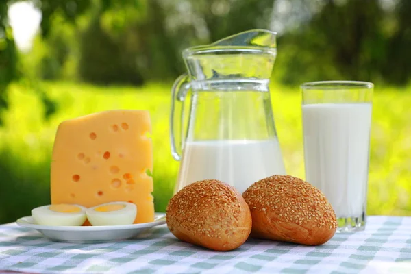 Breakfast composition of a milk jar, a glass of milk, a piece of cheese and a cut egg on a plate, and sesame rolls on a green-and-white checkered tablecloth, blurred green natural background, sunny day