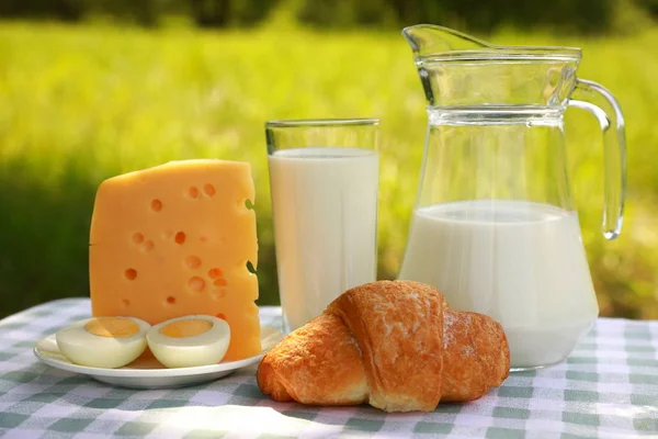 Breakfast composition of a milk jar, a glass of milk, a piece of cheese and a cut egg on a plate, and a croissant on a green-and-white checkered tablecloth, blurred green natural background, sunny day