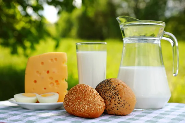 Breakfast composition of a milk jar, a glass of milk, a piece of cheese and a cut egg on a plate, a sesame and a poppy roll on a green-and-white checkered tablecloth, blurred green natural background, sunny day