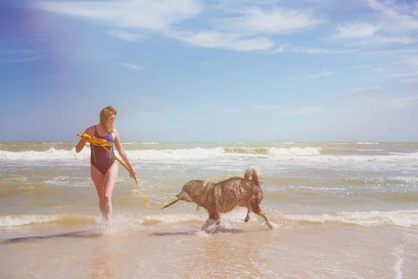 Woman play with husky dog in sea