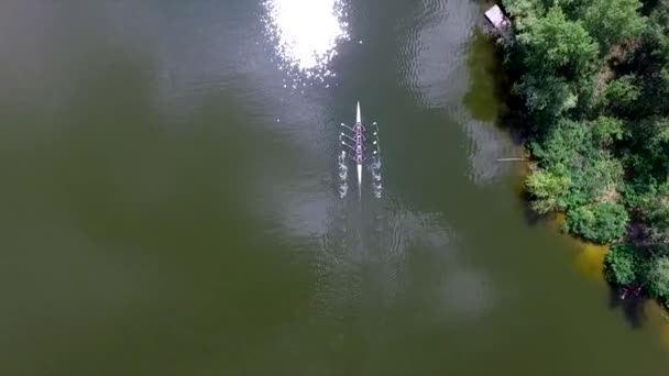 四乘员组赛艇运动员在小船在河 绿色水面上的白独木舟移动视图 — 图库视频影像