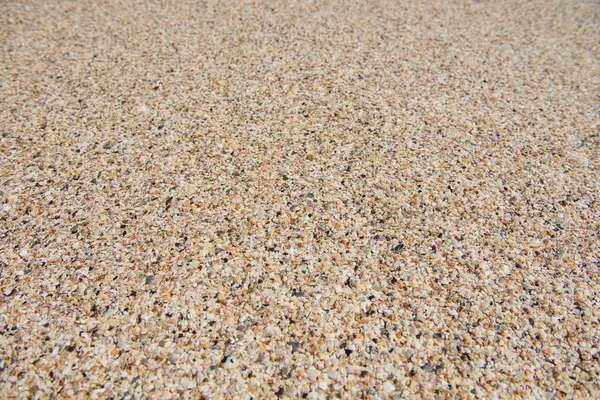 Macro Vicino Molte Piccole Conchiglie Gialle Carta Parati Molluschi Spiaggia — Foto Stock