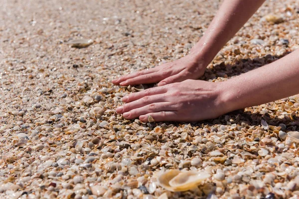 Mulher Colocar Mãos Conchas Mar Perto Close Mãos Femininas Praia — Fotografia de Stock