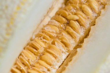 Şekerli makro sarı kavun tohumu yakın çekim