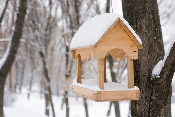 Houten gele vogels feeder bij winter forest — Stockfoto