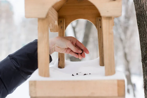 Hand zetten zonnebloempitten bij vogels feeder — Stockfoto