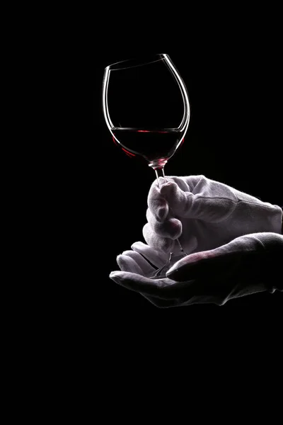 Contours of hands in white gloves hold wine glass