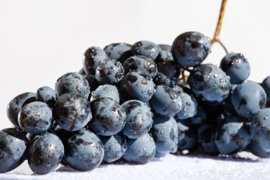 Su ile mavi üzüm demet keser