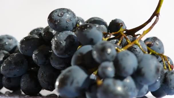 Камера крутится вокруг мокрого винограда. — стоковое видео