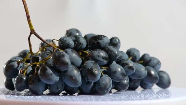 Caméra glisser et tourner autour de la grappe de raisin — Video