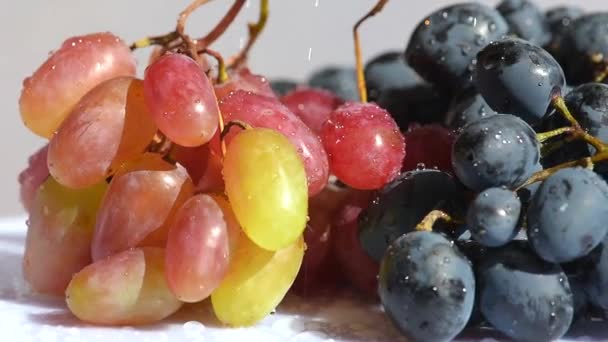 Краплі води розбризкують на двох видах винограду — стокове відео