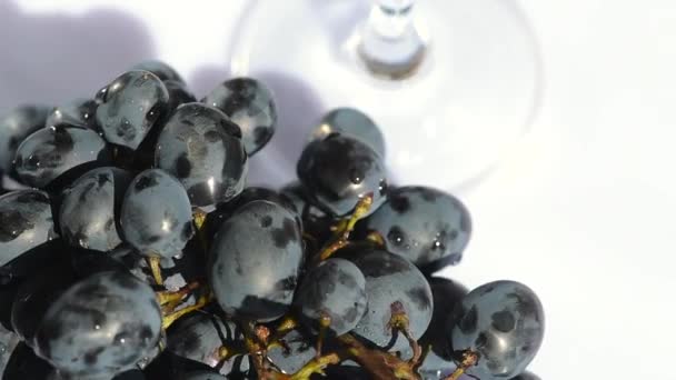 Caméra tourner autour du raisin foncé et le verre — Video