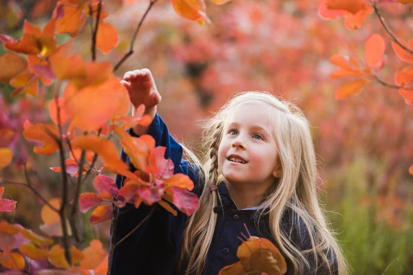 Liten blondy flicka i magiska hösten skogen — Stockfoto