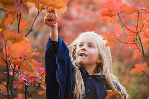 Liten blondy flicka i magiska hösten skogen — Stockfoto