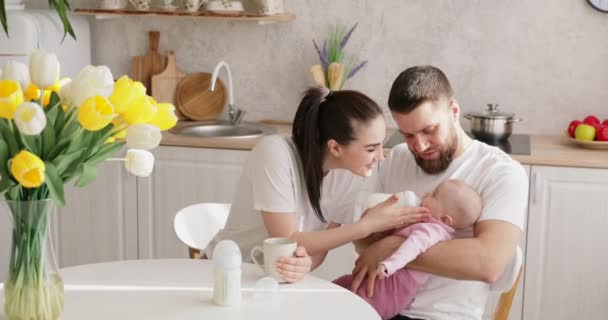 Padres alimentando al recién nacido con fórmula en un biberón — Vídeos de Stock