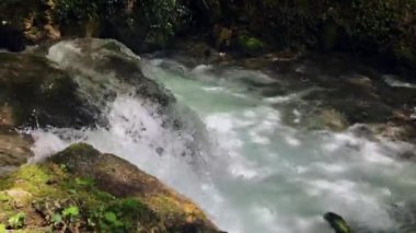 Ormanda beyaz ve şeffaf kabarcıklar ile su akışının kapatılması.