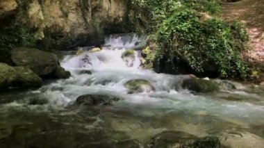 Ormanda beyaz ve şeffaf kabarcıklar ile dağ deresi.