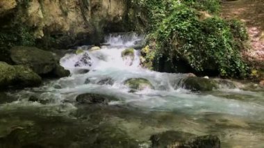 Ormanda beyaz ve şeffaf kabarcıklar ile dağ deresi kapatın. Yavaş çekim.