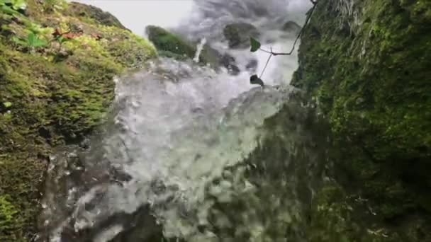 白と透明な泡と水流のクローズ アップ スローモーション — ストック動画