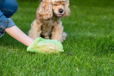Plastik torba temiz köpek bok ile Kadın