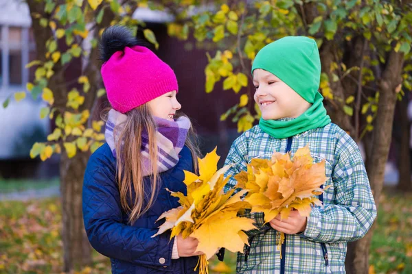 웃는 귀여운 십대 아이들은 단풍 나무 잎을 수집 — 스톡 사진