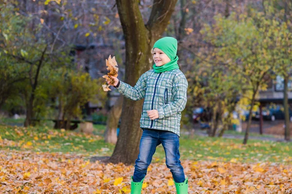 Preeten pojke med fång av lönn löv — Stockfoto