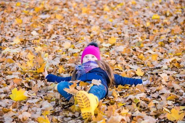 Överraskande Kid låg på lönn Gula löv — Stockfoto