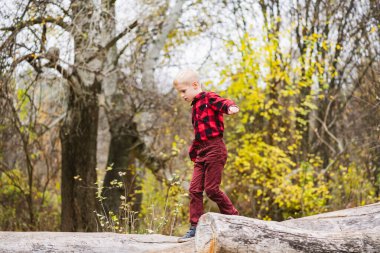 Kırmızı tişörtlü sarışın aktif çocuk eski tahta üzerinde duruyor ve kollarını açıyor, sonbahar ormanı arka planında mutlu bir çocukluk geçiriyor.