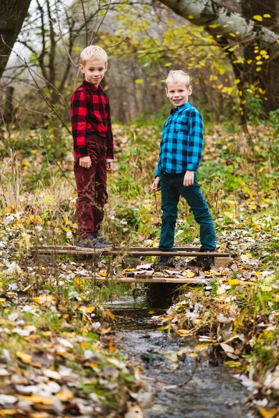 Preteen twin brothers in checkered shirts stand full length on wooden pond under flowing water stream in autumn forest. Happy childhood and active family weekend