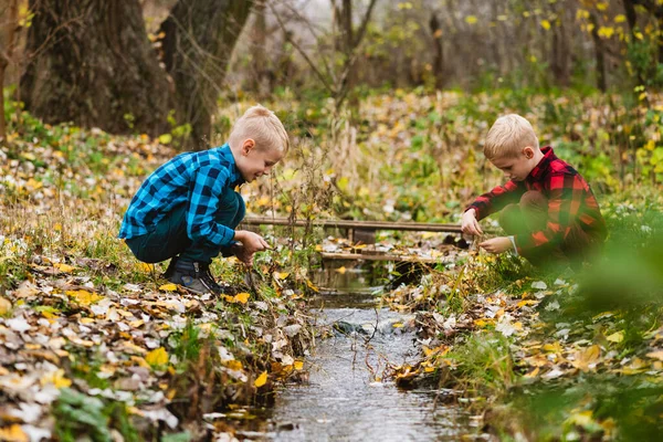 Aktywny Weekend Rodzinny Świeżym Powietrzu Pięknym Jesiennym Lesie Dwóch Nastolatków — Zdjęcie stockowe