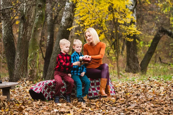 Vacker Familjehelg Mysig Höstskog Blond Mamma Med Tonåring Tvillingbröder Har — Stockfoto