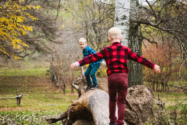 Twin Nastolatek Mężczyzna Dzieci Bawią Się Świeżym Powietrzu Jesiennym Parku — Zdjęcie stockowe