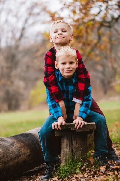 Twee Charmante Jongens Broers Basisschool Leeftijd Jaar Oud Zitten Een — Stockfoto