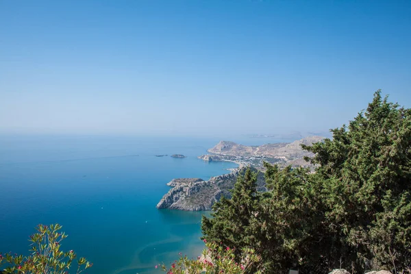 Cyprès Sur Mer Méditerranée Vie — Photo