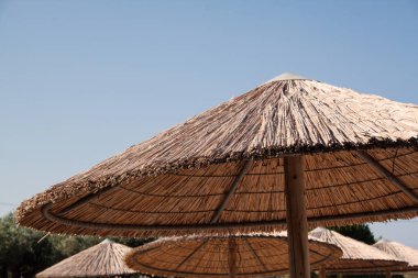 güneş şemsiyesi sunny Beach