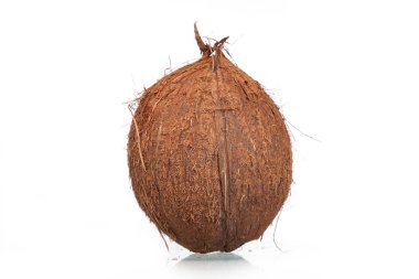 Beyaz arkaplanda izole edilmiş hindistan cevizleri