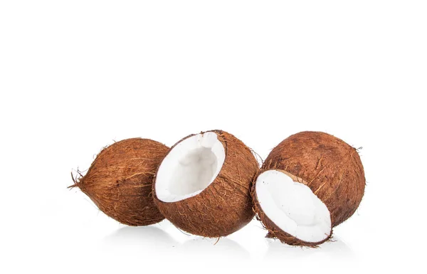 Cocos Isolados Fundo Branco — Fotografia de Stock