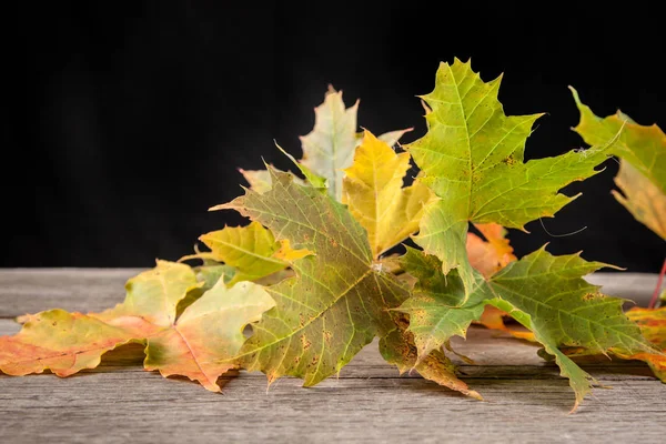 Høstblader Trebakgrunn – stockfoto