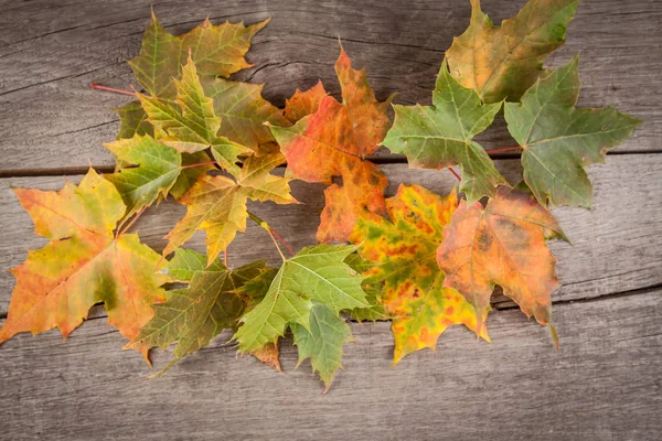 Herbstblätter Über Hölzernem Hintergrund — Stockfoto