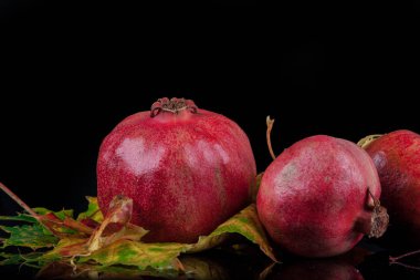 Nar ve sonbahar renkli yaprakları