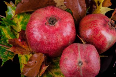 Nar ve sonbahar renkli yaprakları