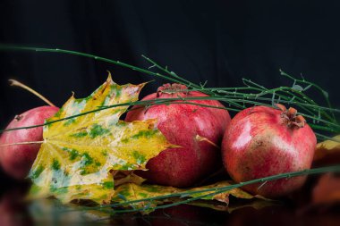 Nar ve sonbahar renkli yaprakları